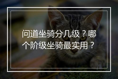 问道坐骑分几级？哪个阶级坐骑最实用？