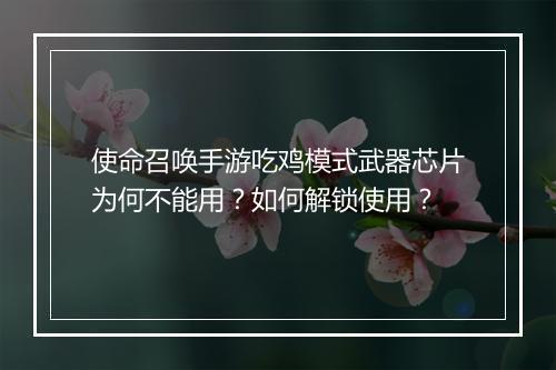 使命召唤手游吃鸡模式武器芯片为何不能用？如何解锁使用？