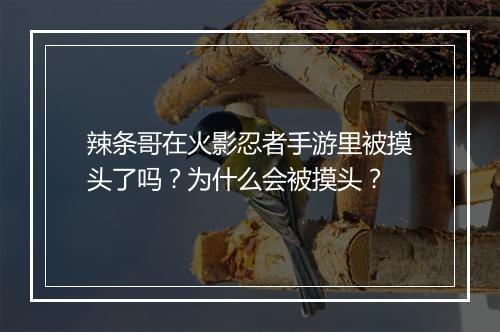 辣条哥在火影忍者手游里被摸头了吗？为什么会被摸头？