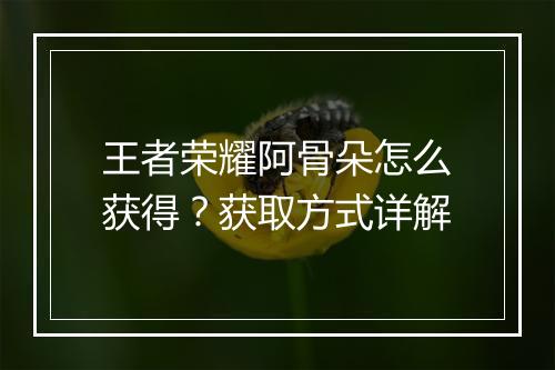 王者荣耀阿骨朵怎么获得?获取方式详解