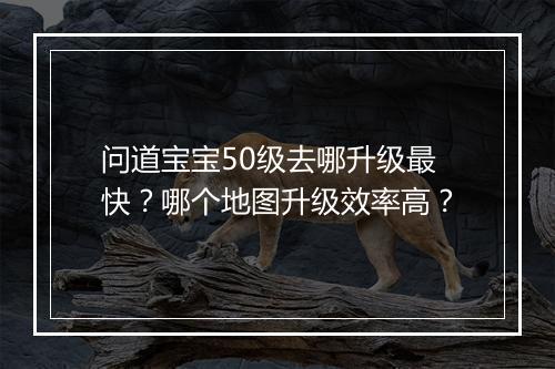 问道宝宝50级去哪升级最快?哪个地图升级效率高?