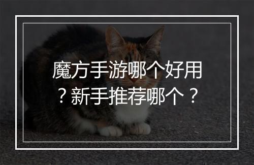 魔方手游哪个好用?新手推荐哪个?