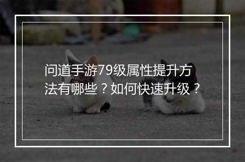 问道手游79级属性提升方法有哪些?如何快速升级?