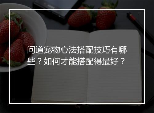 问道宠物心法搭配技巧有哪些？如何才能搭配得最好？