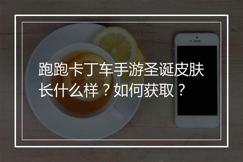 跑跑卡丁车手游圣诞皮肤长什么样?如何获取?
