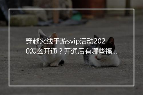 穿越火线手游svip活动2020怎么开通?开通后有哪些福利?
