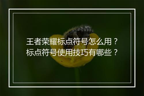 王者荣耀标点符号怎么用?标点符号使用技巧有哪些?