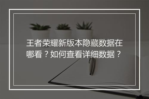 王者荣耀新版本隐藏数据在哪看？如何查看详细数据？