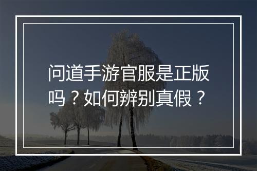 问道手游官服是正版吗？如何辨别真假？