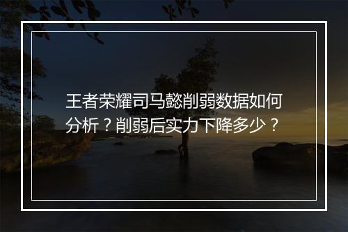 王者荣耀司马懿削弱数据如何分析?削弱后实力下降多少?