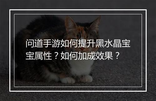 问道手游如何提升黑水晶宝宝属性?如何加成效果?