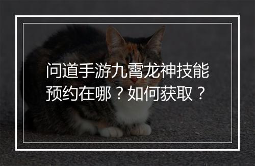 问道手游九霄龙神技能预约在哪?如何获取?