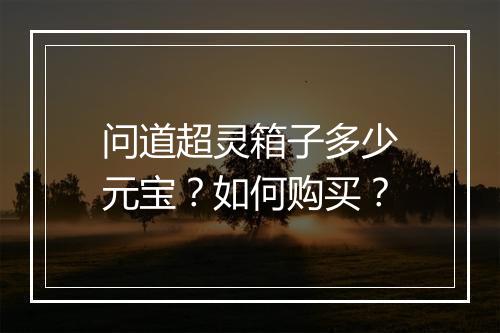 问道超灵箱子多少元宝？如何购买？