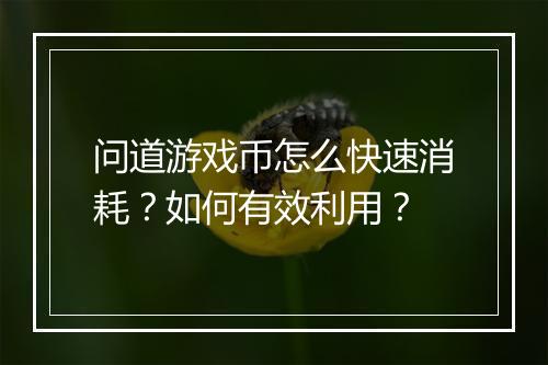 问道游戏币怎么快速消耗?如何有效利用?