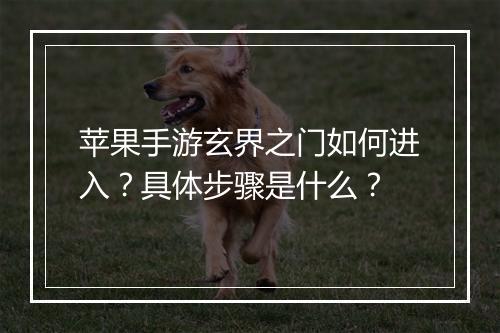 苹果手游玄界之门如何进入？具体步骤是什么？
