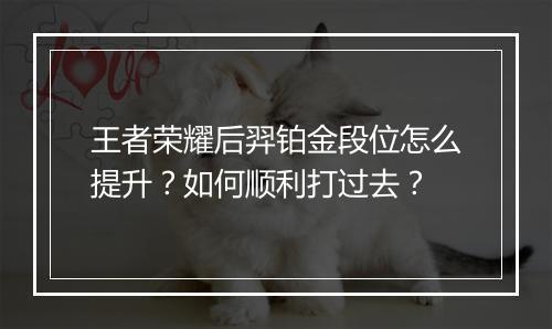 王者荣耀后羿铂金段位怎么提升?如何顺利打过去?