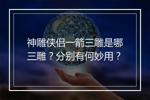 神雕侠侣一箭三雕是哪三雕？分别有何妙用？