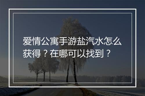 爱情公寓手游盐汽水怎么获得?在哪可以找到?