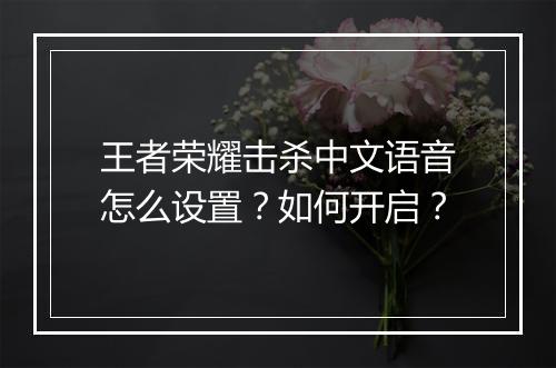 王者荣耀击杀中文语音怎么设置?如何开启?