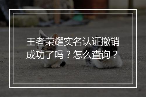 王者荣耀实名认证撤销成功了吗?怎么查询?