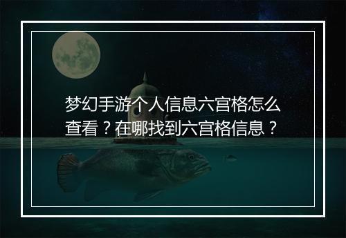 梦幻手游个人信息六宫格怎么查看？在哪找到六宫格信息？