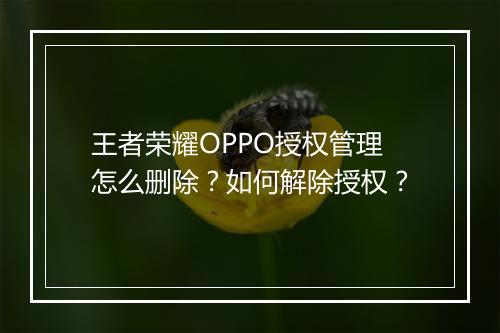 王者荣耀OPPO授权管理怎么删除?如何解除授权?