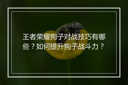王者荣耀狗子对战技巧有哪些?如何提升狗子战斗力?