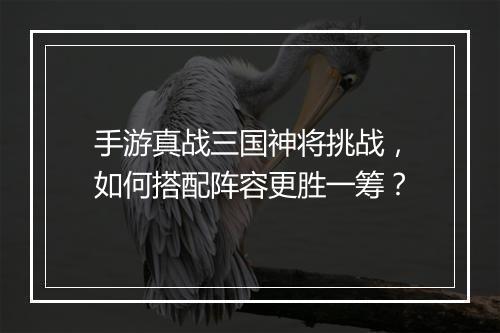 手游真战三国神将挑战，如何搭配阵容更胜一筹？
