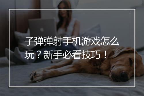 子弹弹射手机游戏怎么玩？新手必看技巧！