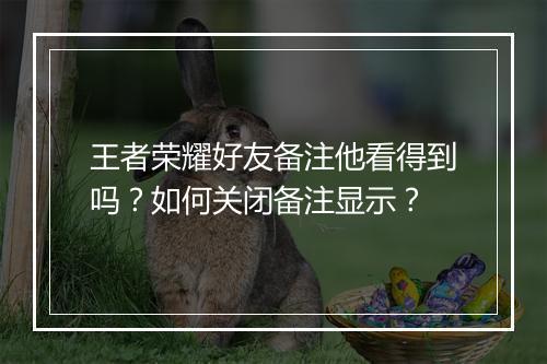 王者荣耀好友备注他看得到吗？如何关闭备注显示？