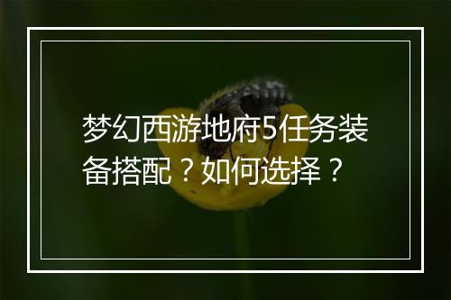 梦幻西游地府5任务装备搭配?如何选择?
