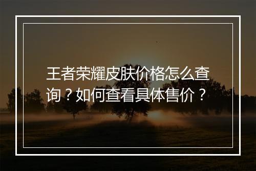 王者荣耀皮肤价格怎么查询?如何查看具体售价?