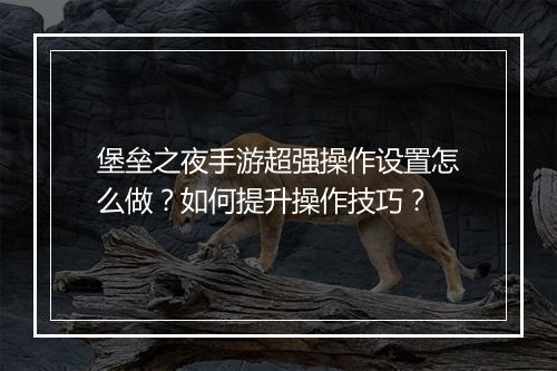 堡垒之夜手游超强操作设置怎么做?如何提升操作技巧?