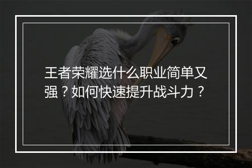 王者荣耀选什么职业简单又强?如何快速提升战斗力?