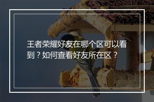 王者荣耀好友在哪个区可以看到?如何查看好友所在区?