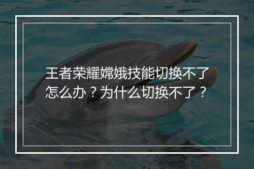 王者荣耀嫦娥技能切换不了怎么办？为什么切换不了？