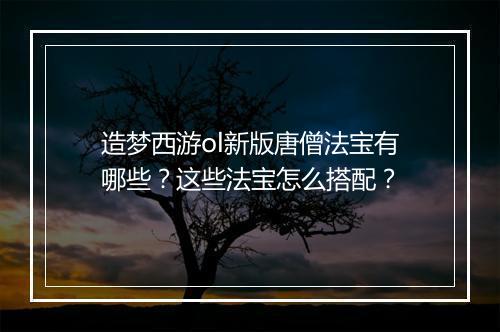 造梦西游ol新版唐僧法宝有哪些？这些法宝怎么搭配？