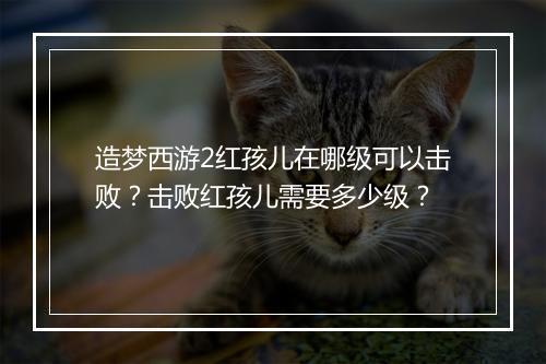 造梦西游2红孩儿在哪级可以击败?击败红孩儿需要多少级?