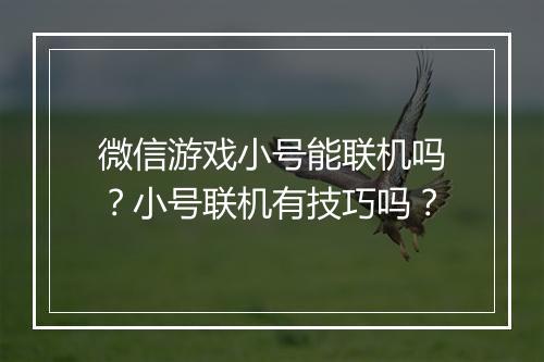 微信游戏小号能联机吗?小号联机有技巧吗?