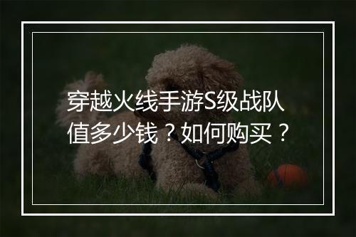 穿越火线手游S级战队值多少钱？如何购买？