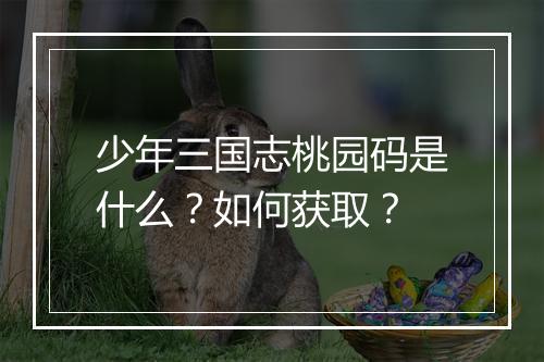 少年三国志桃园码是什么?如何获取?