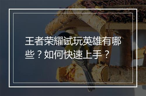 王者荣耀试玩英雄有哪些?如何快速上手?