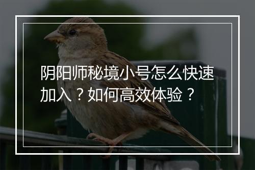 阴阳师秘境小号怎么快速加入?如何高效体验?