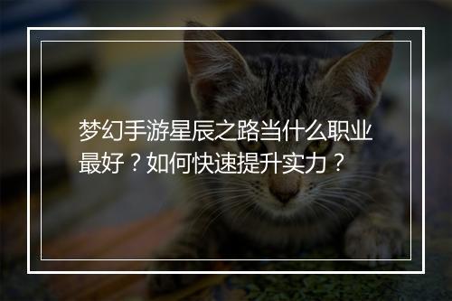 梦幻手游星辰之路当什么职业最好?如何快速提升实力?