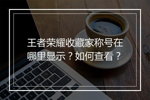 王者荣耀收藏家称号在哪里显示？如何查看？