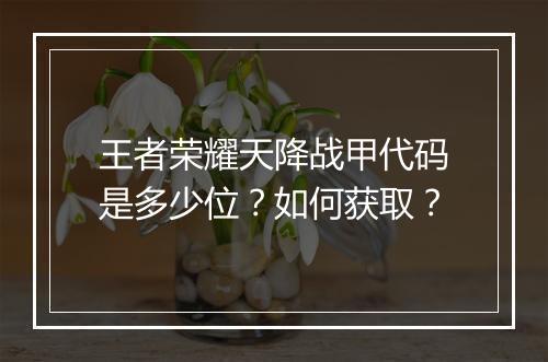王者荣耀天降战甲代码是多少位?如何获取?