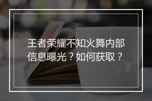 王者荣耀不知火舞内部信息曝光？如何获取？