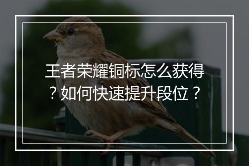 王者荣耀铜标怎么获得？如何快速提升段位？