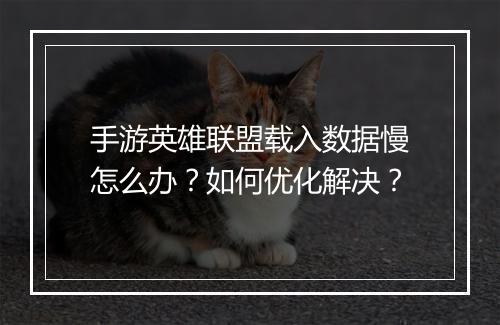 手游英雄联盟载入数据慢怎么办?如何优化解决?