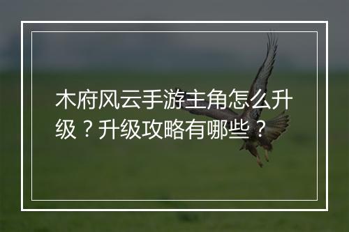 木府风云手游主角怎么升级?升级攻略有哪些?